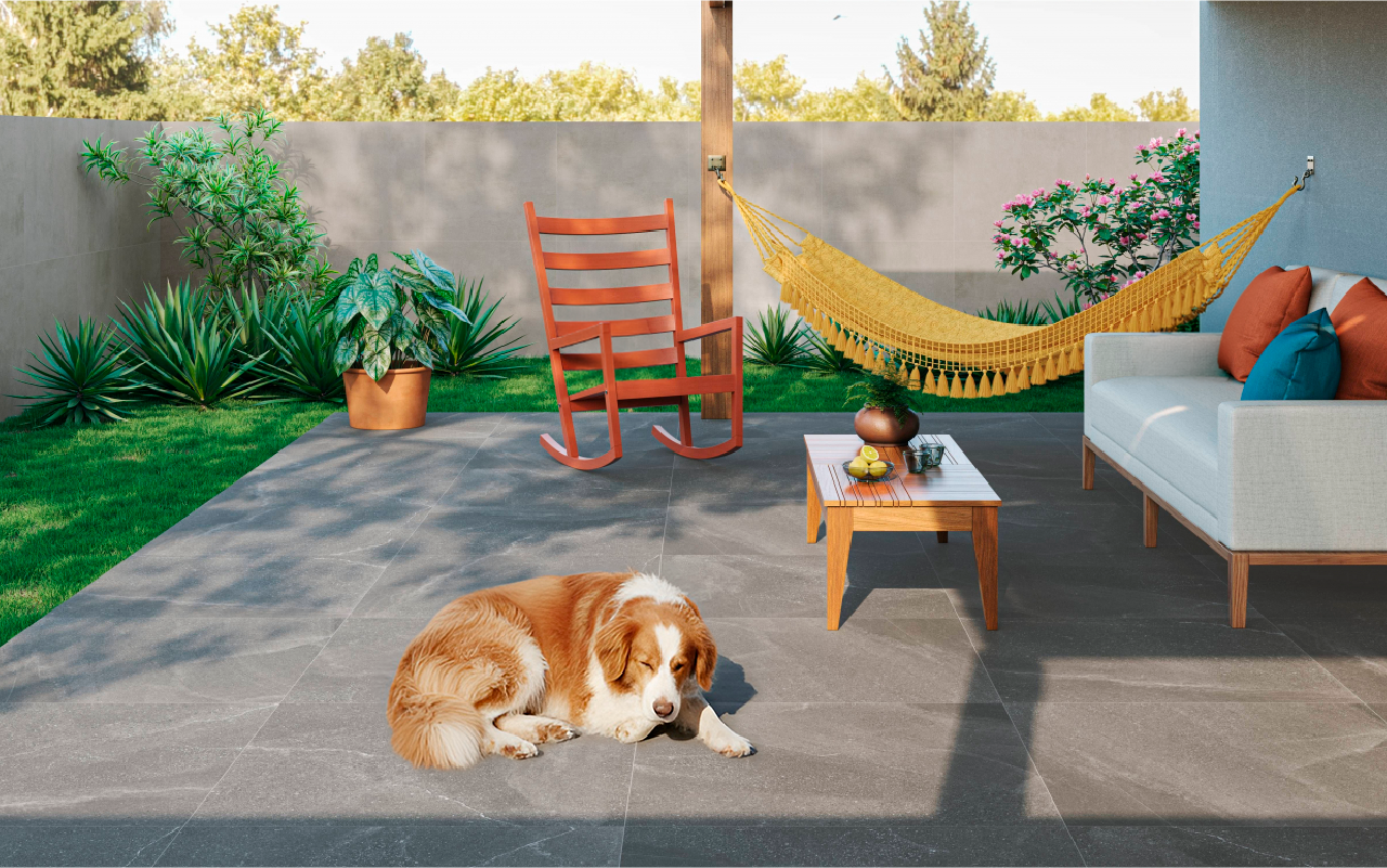 Como preparar a casa para receber um pet?